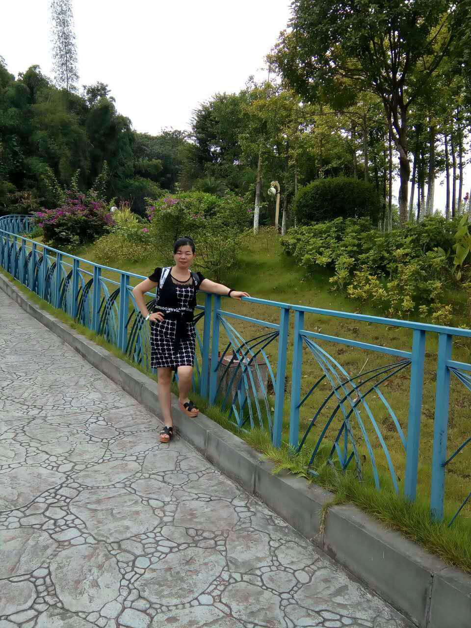 会员97057800