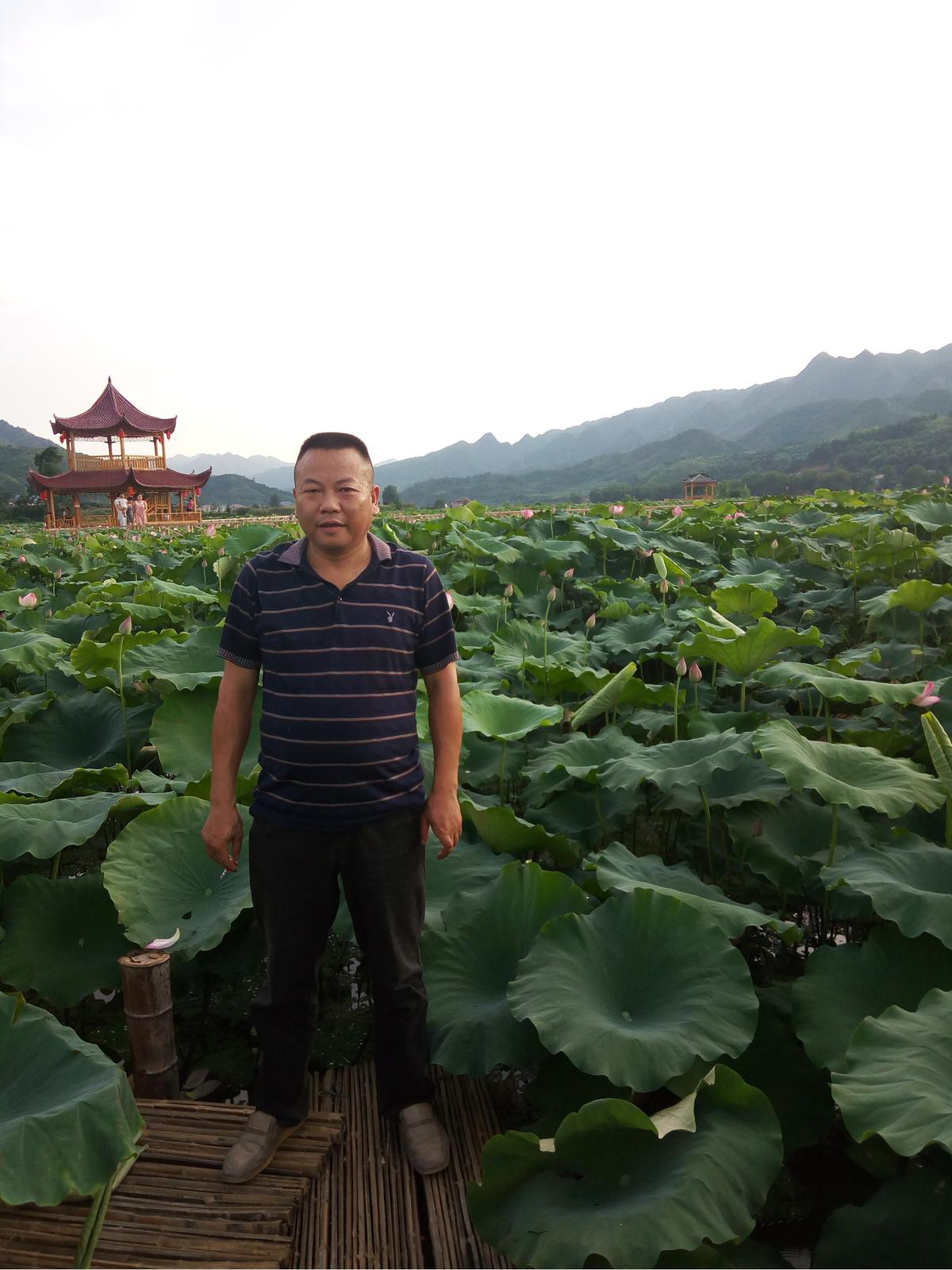 會(huì)員97098765