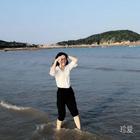 風(fēng)鈴上的螞蟻