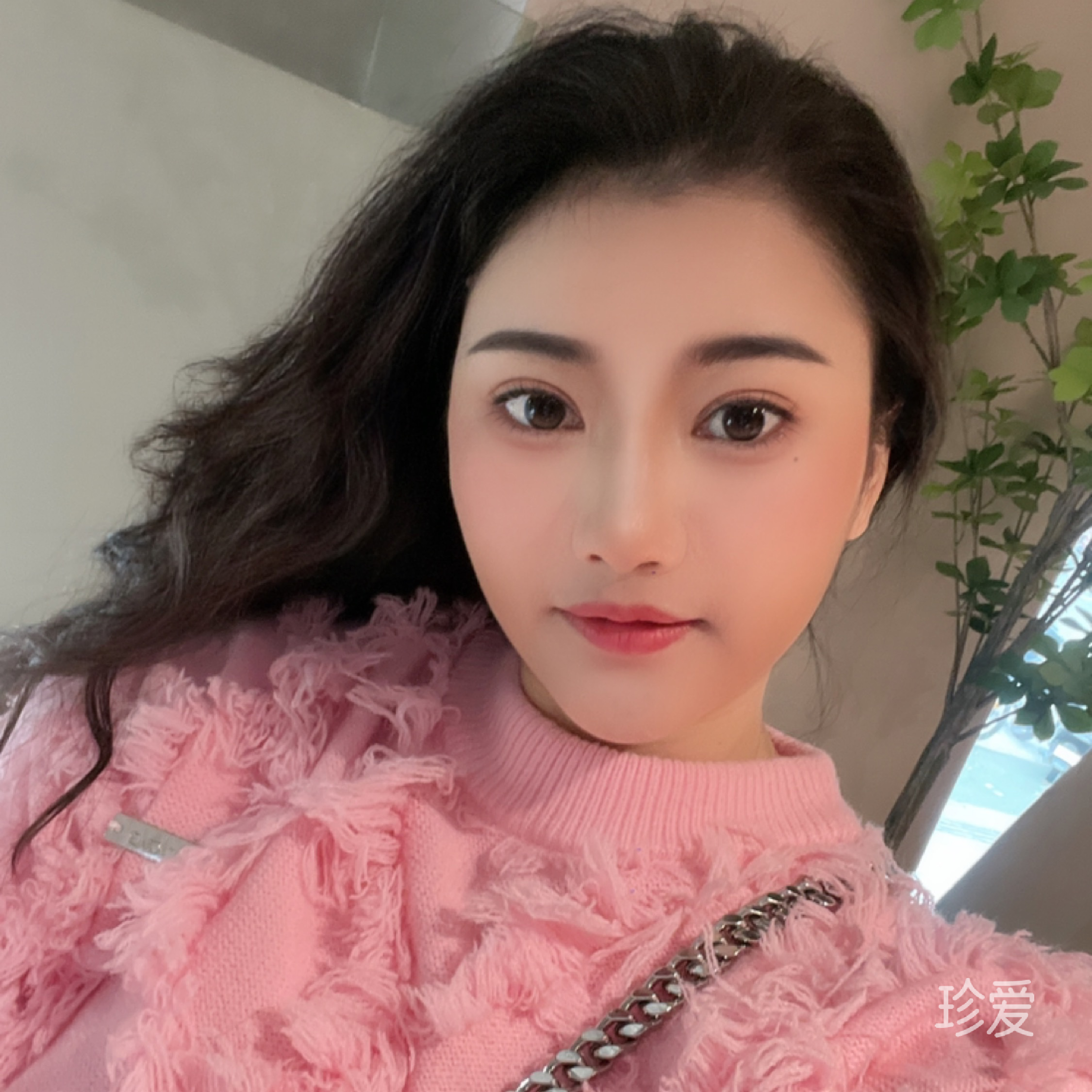 樱花树下