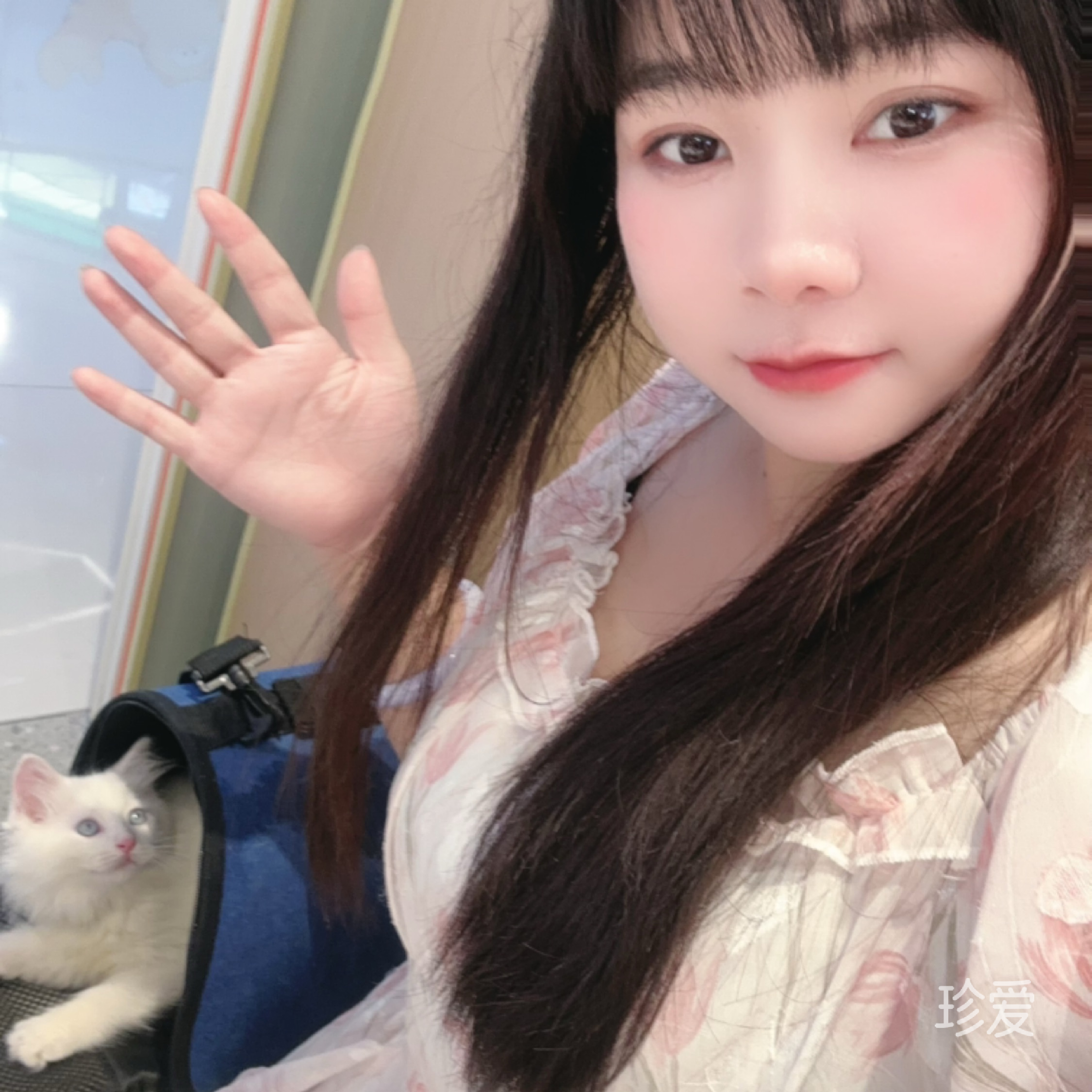 猫唲欢