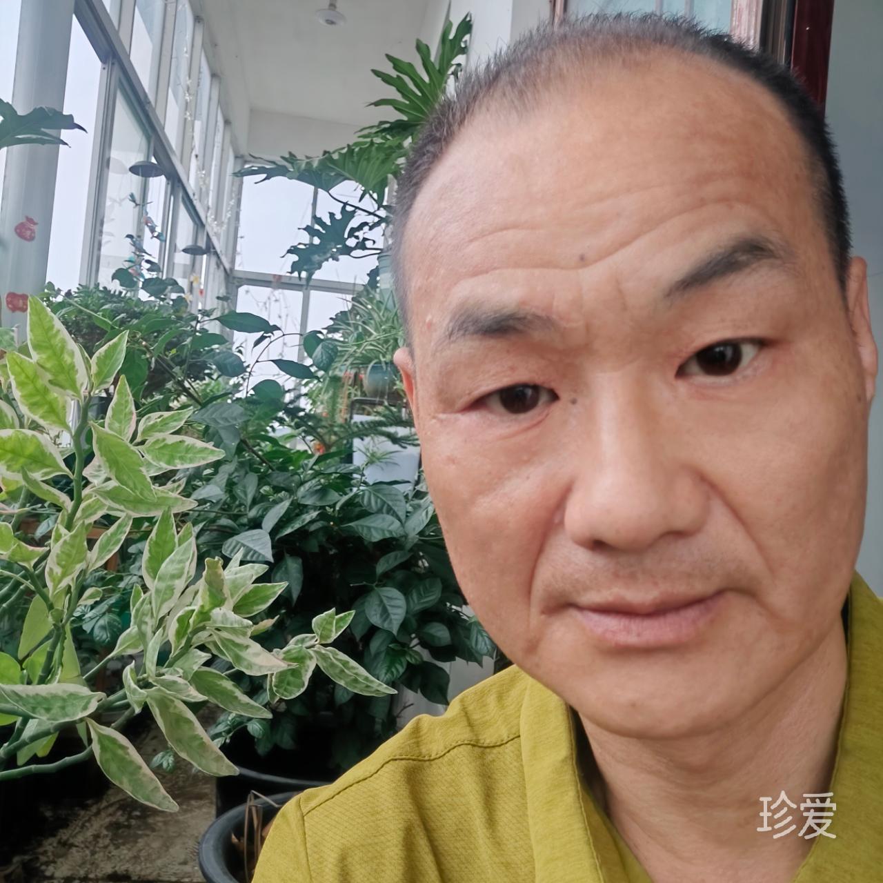 你的模样
