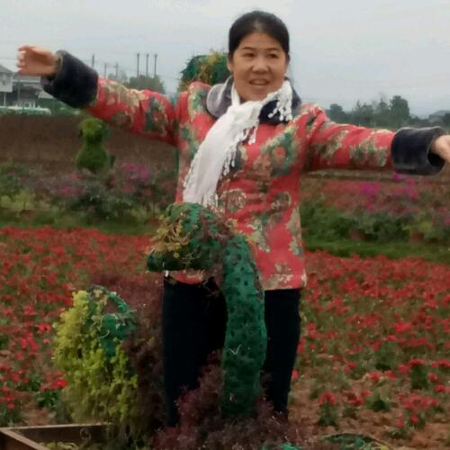 一笑了之