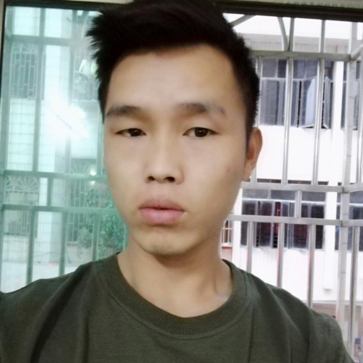 陈宏元