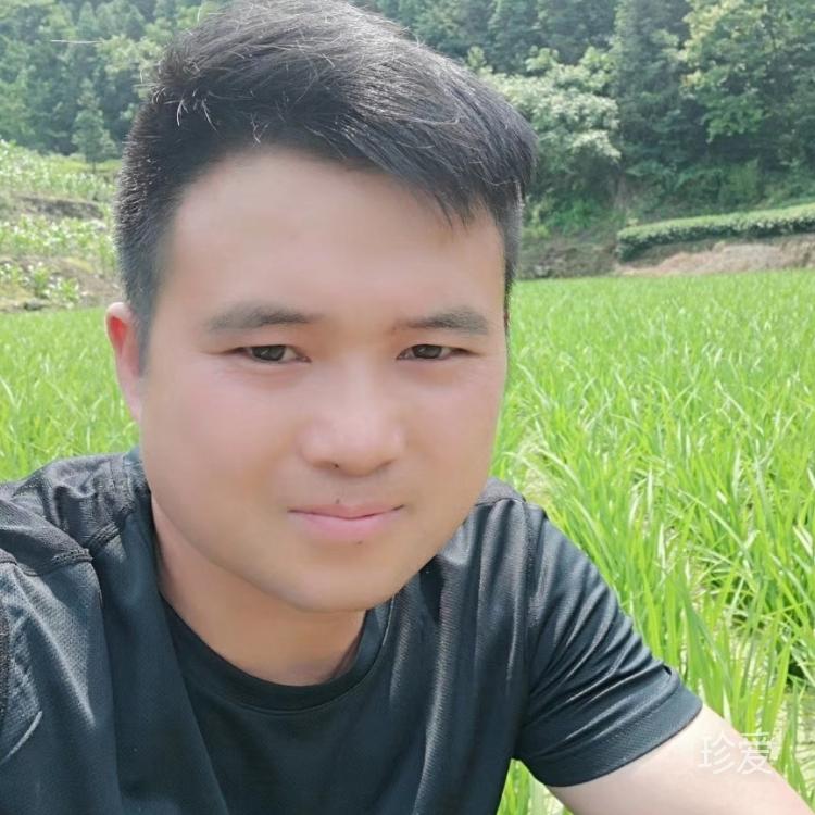 孤单的北边球