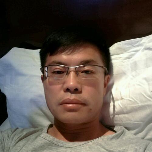 斑马