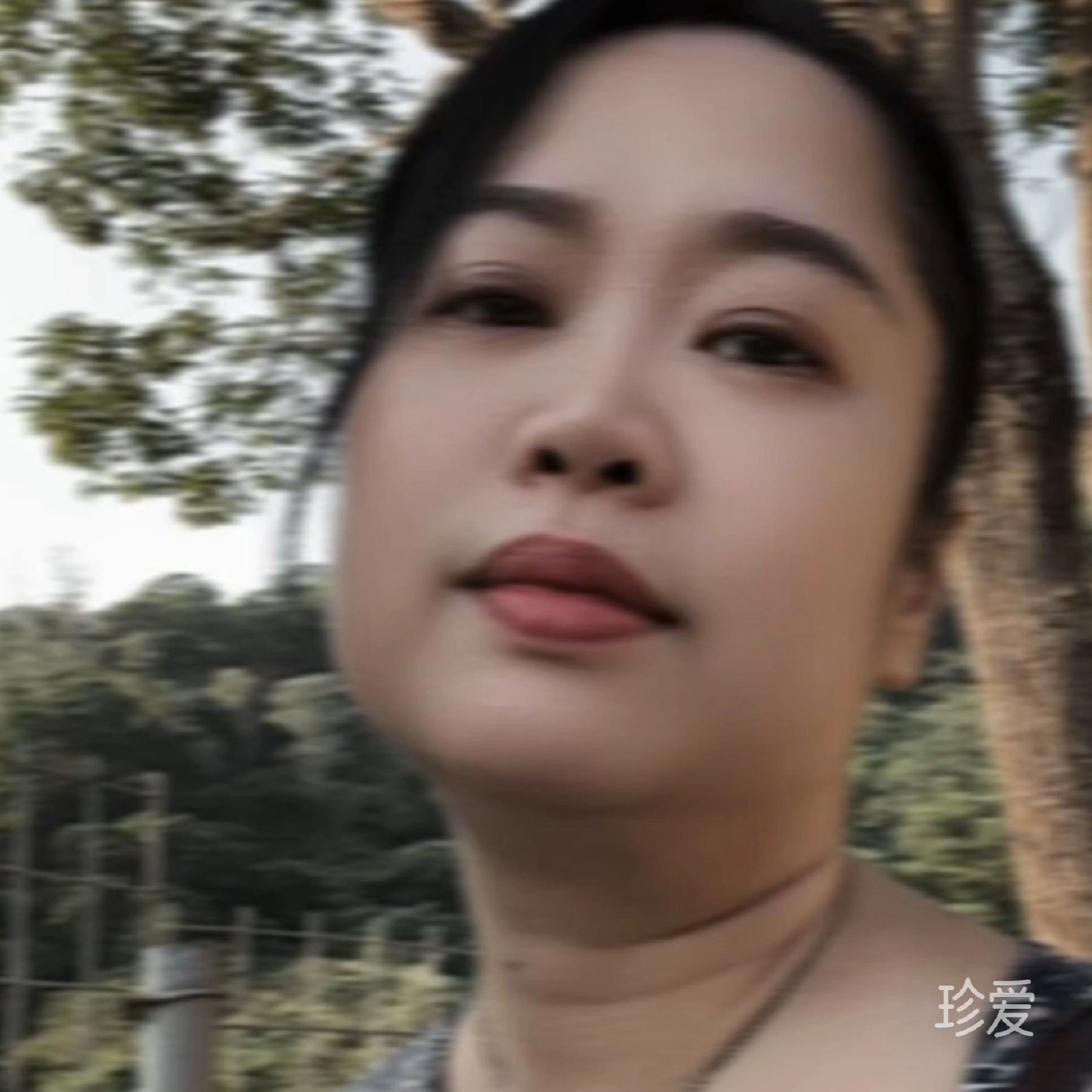 梧桐一龍牌醬油