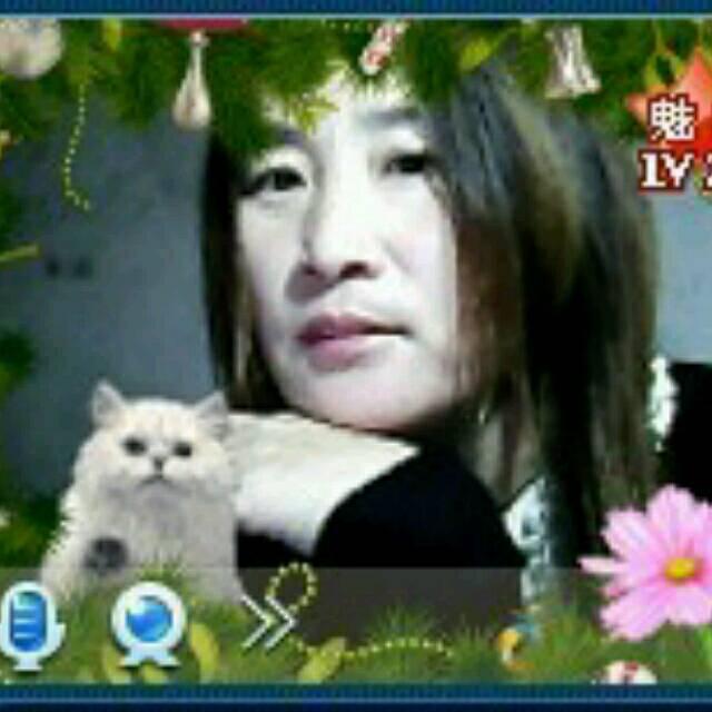 會(huì)員99497910