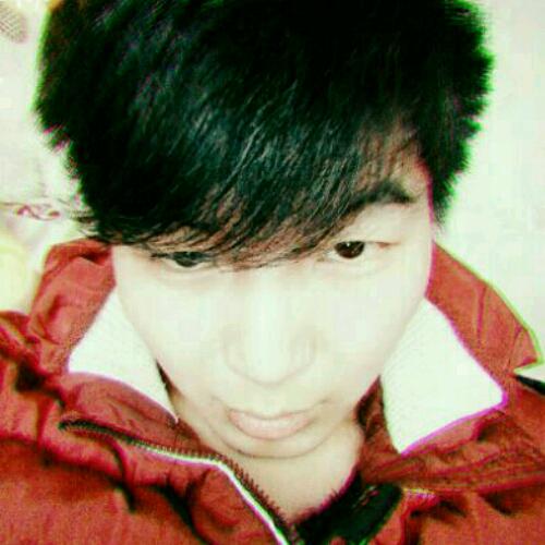 陪你去看流星雨