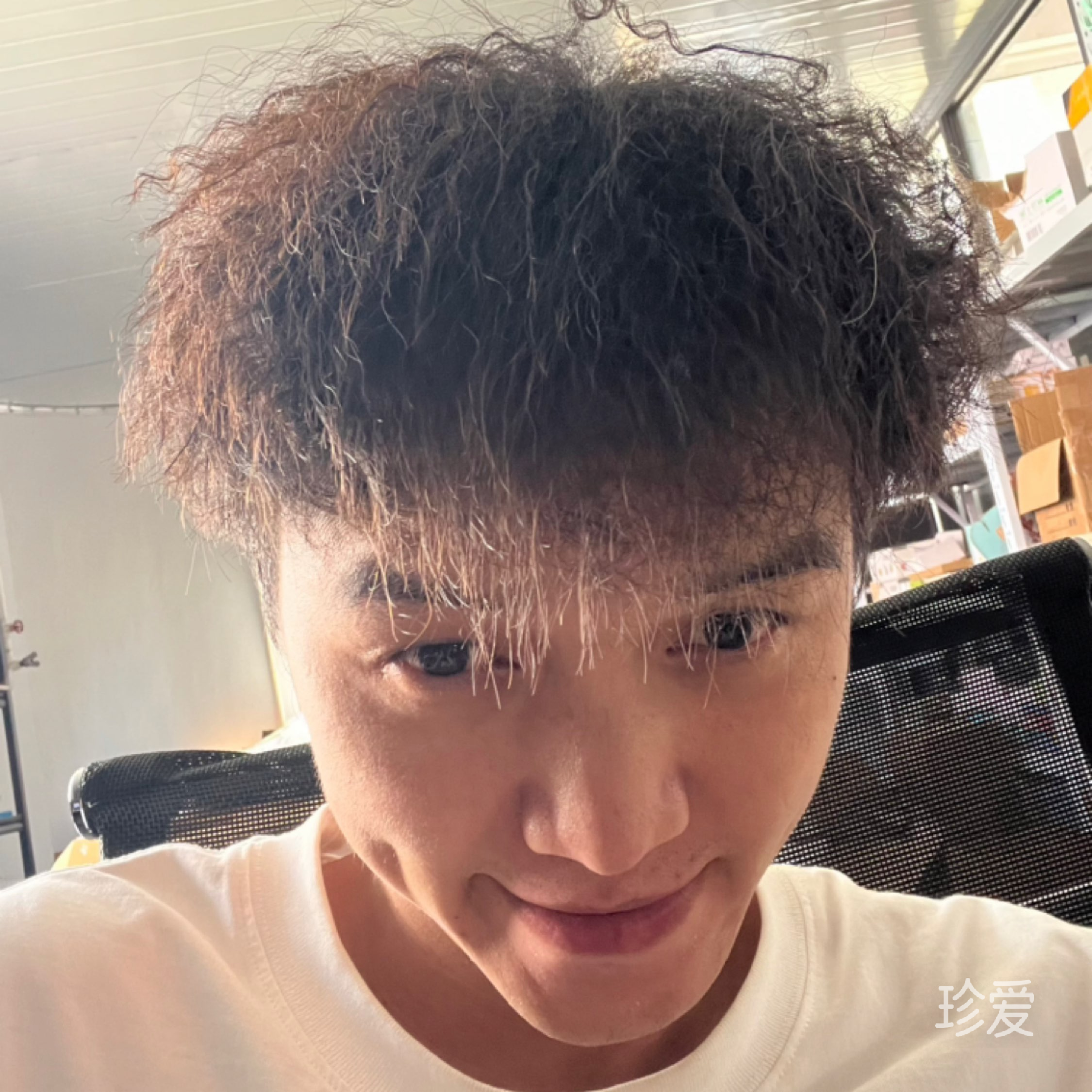 要家的男人