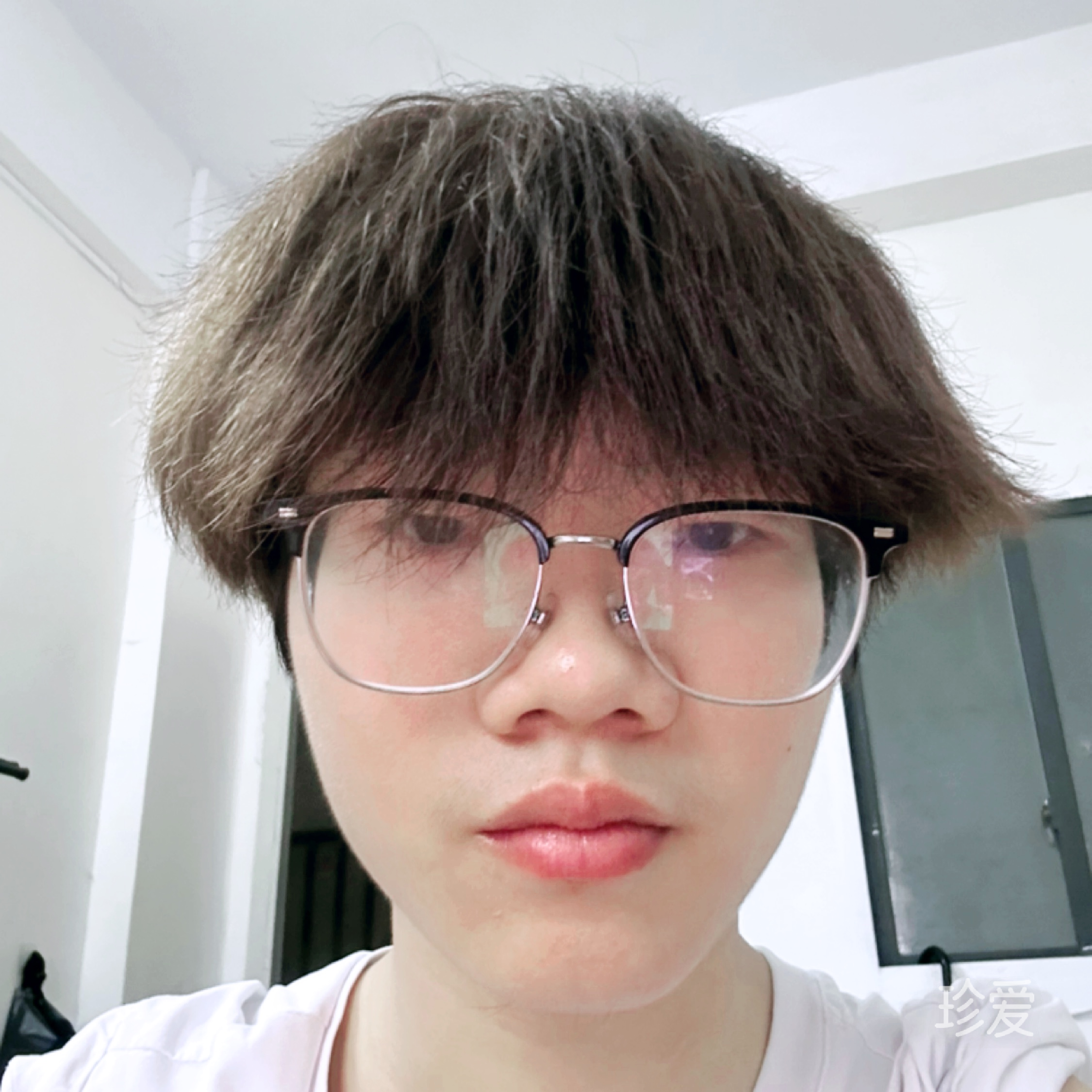 真心求爱