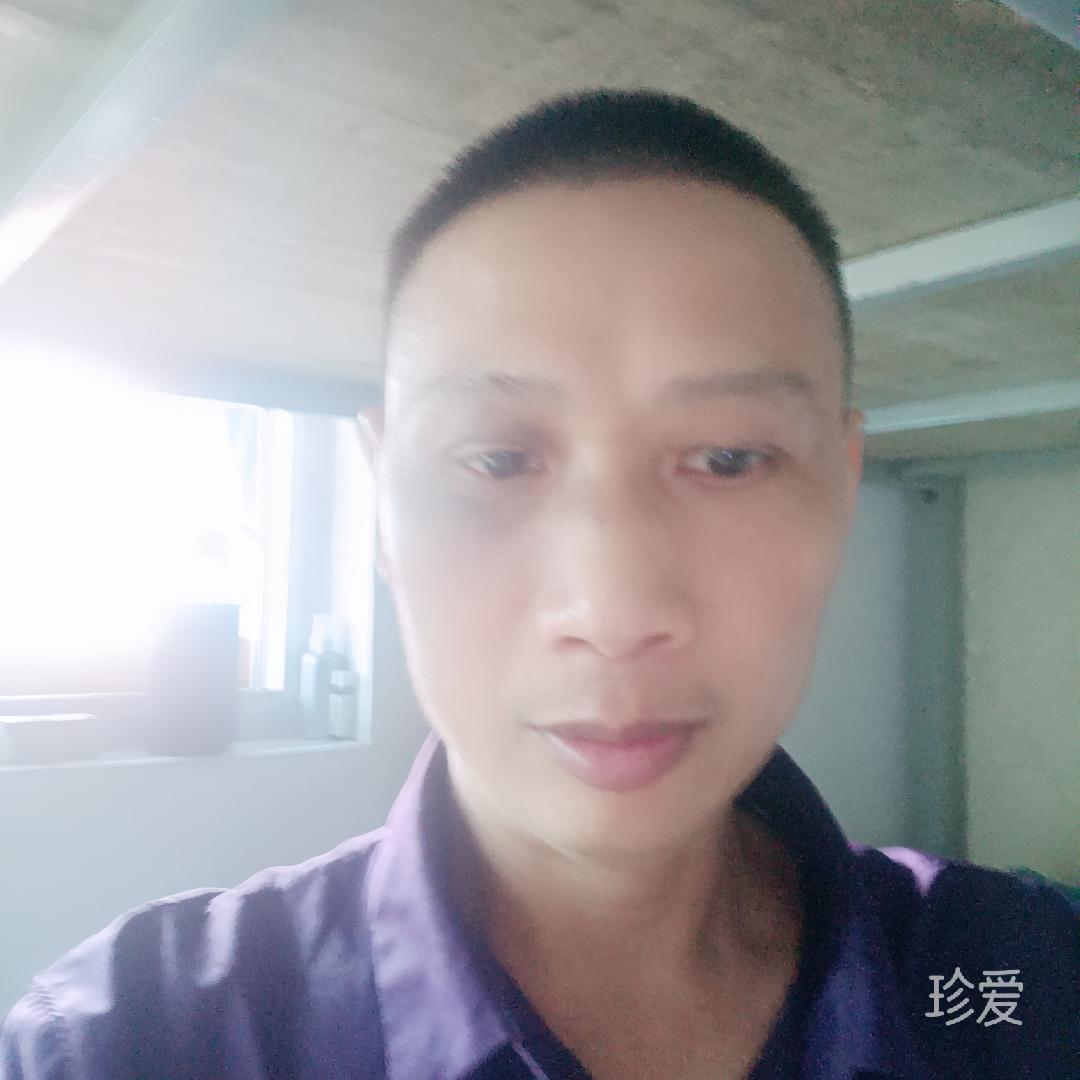 双发