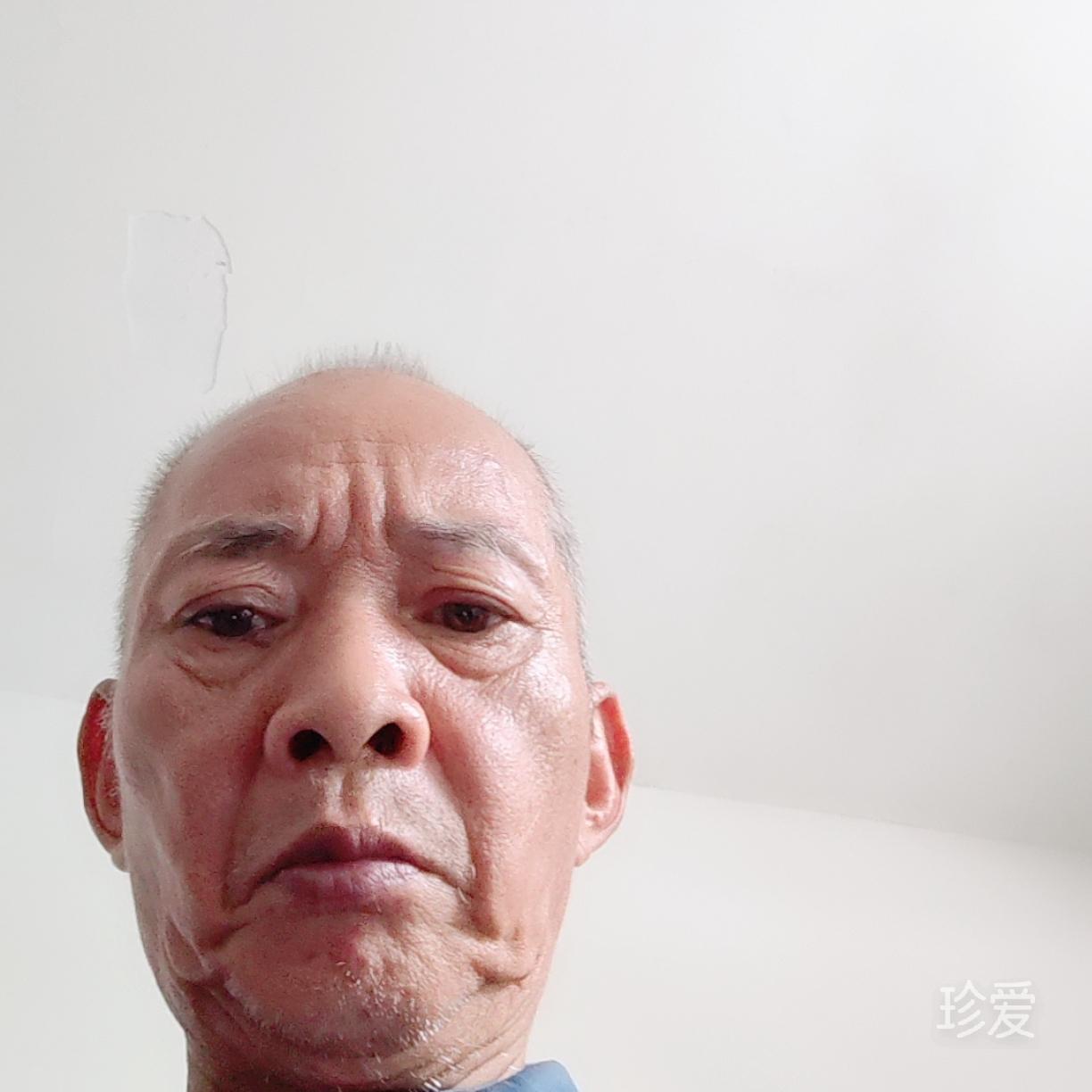 枫桥月夜