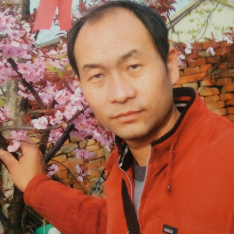 树不静而风不止