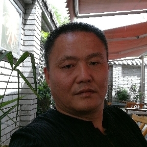 千年胡杨