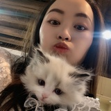 晴天