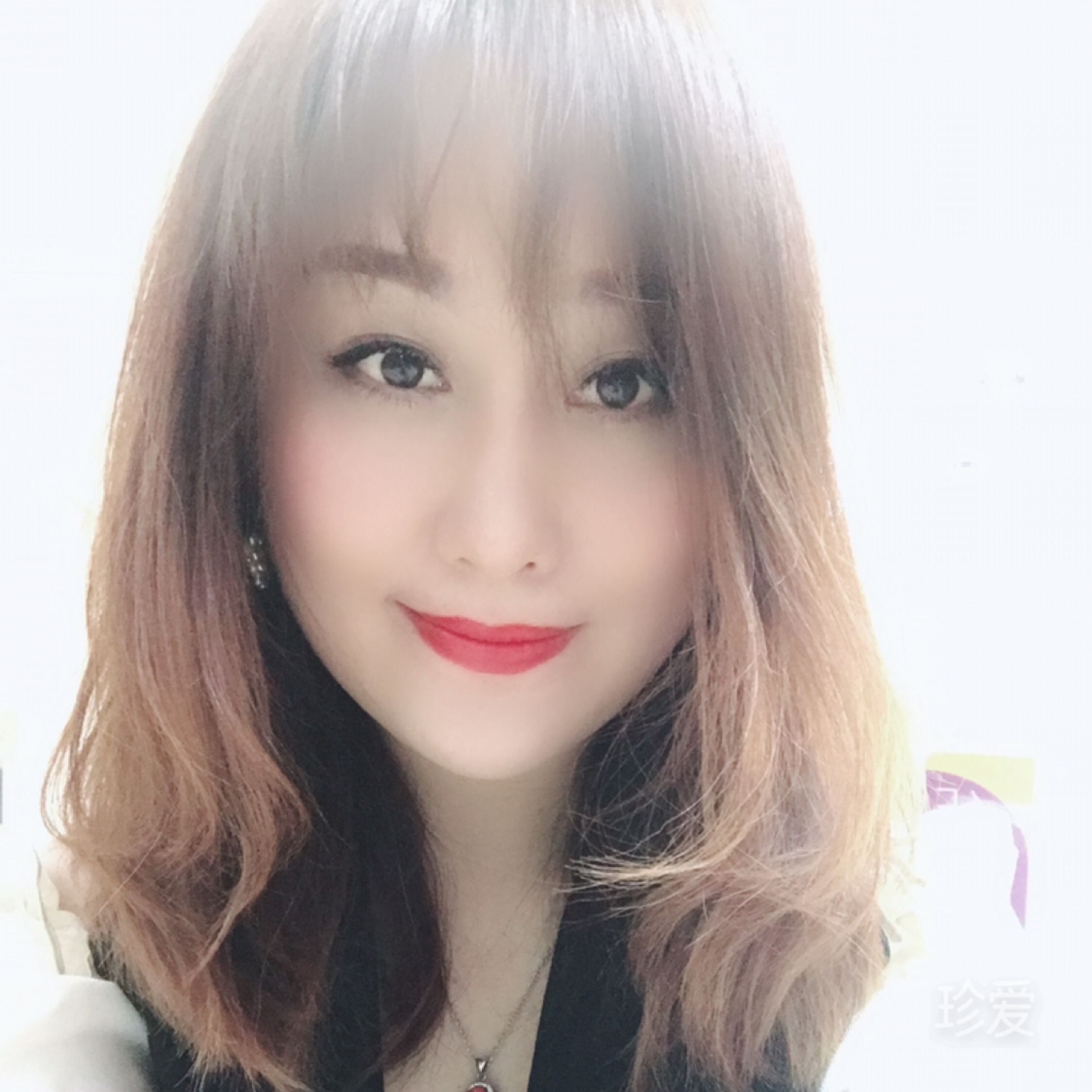 纸焉