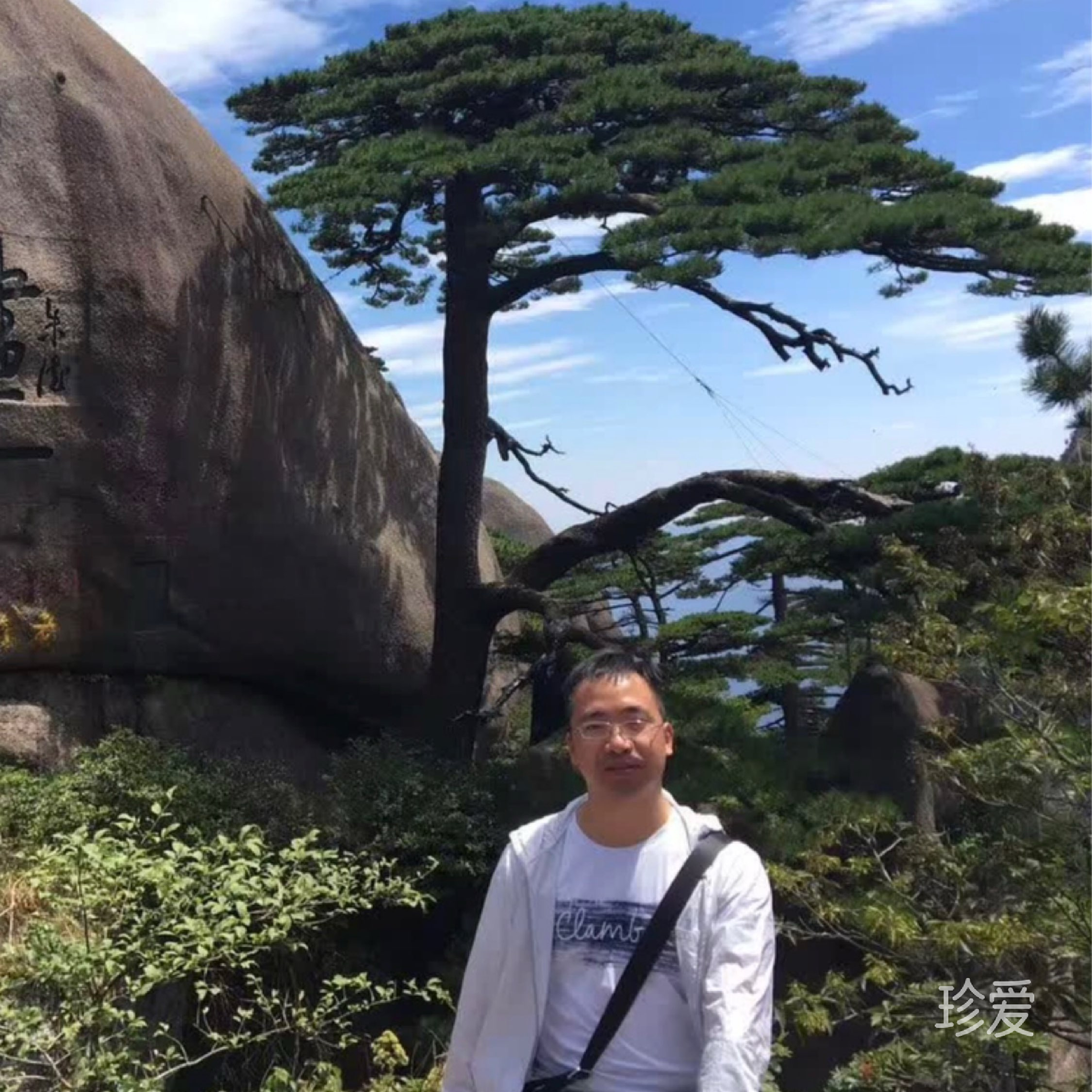 隰有苓