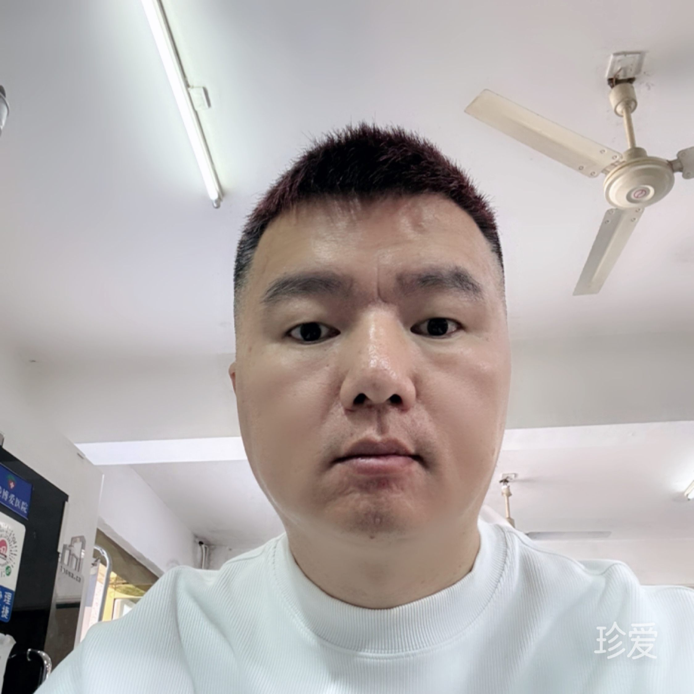 阳光灿烂