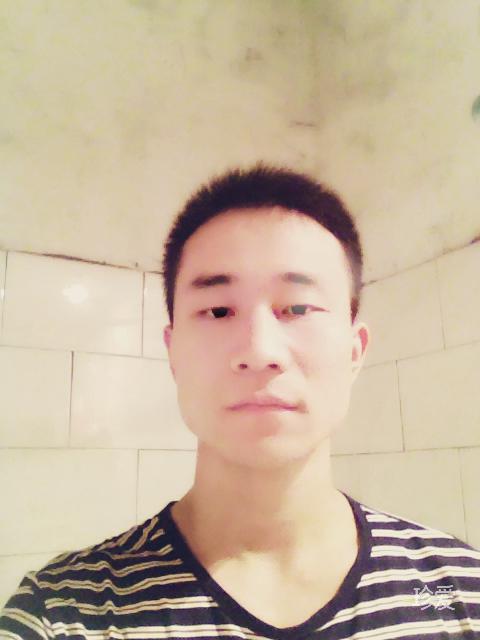 南来南往