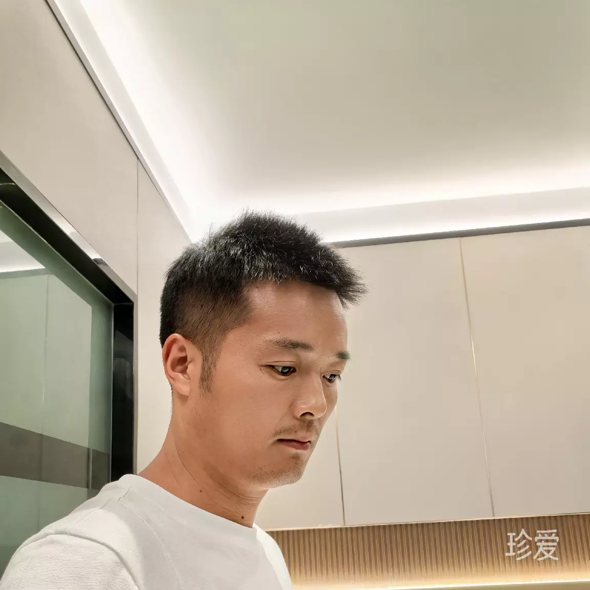 寻爱的人
