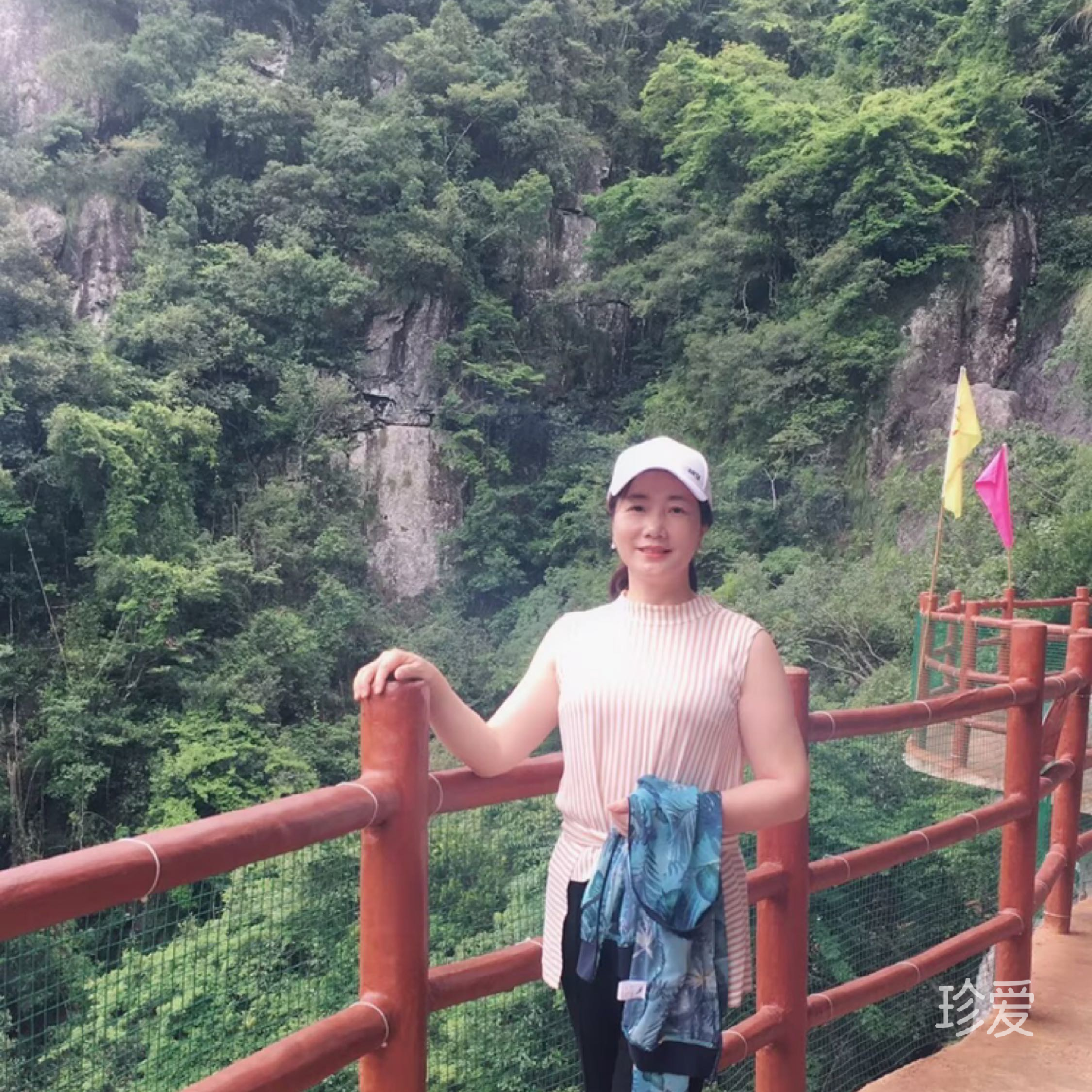 雾语晨香