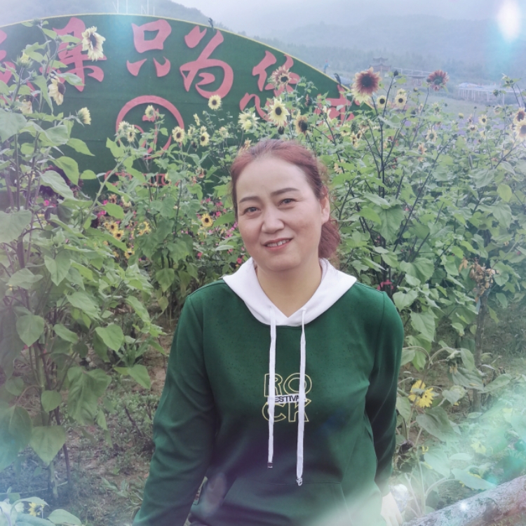 春風(fēng)不解紅塵愁