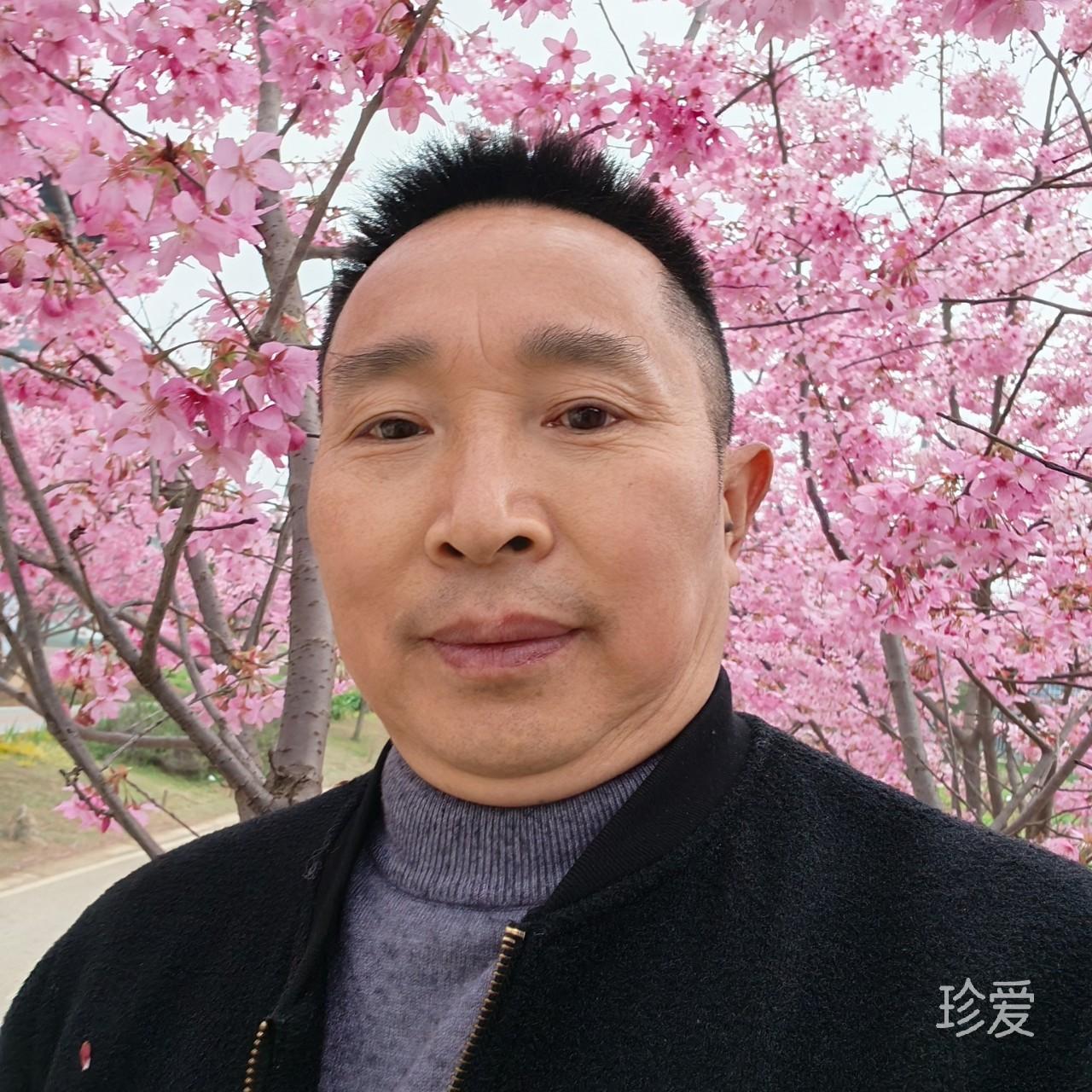 东山梦