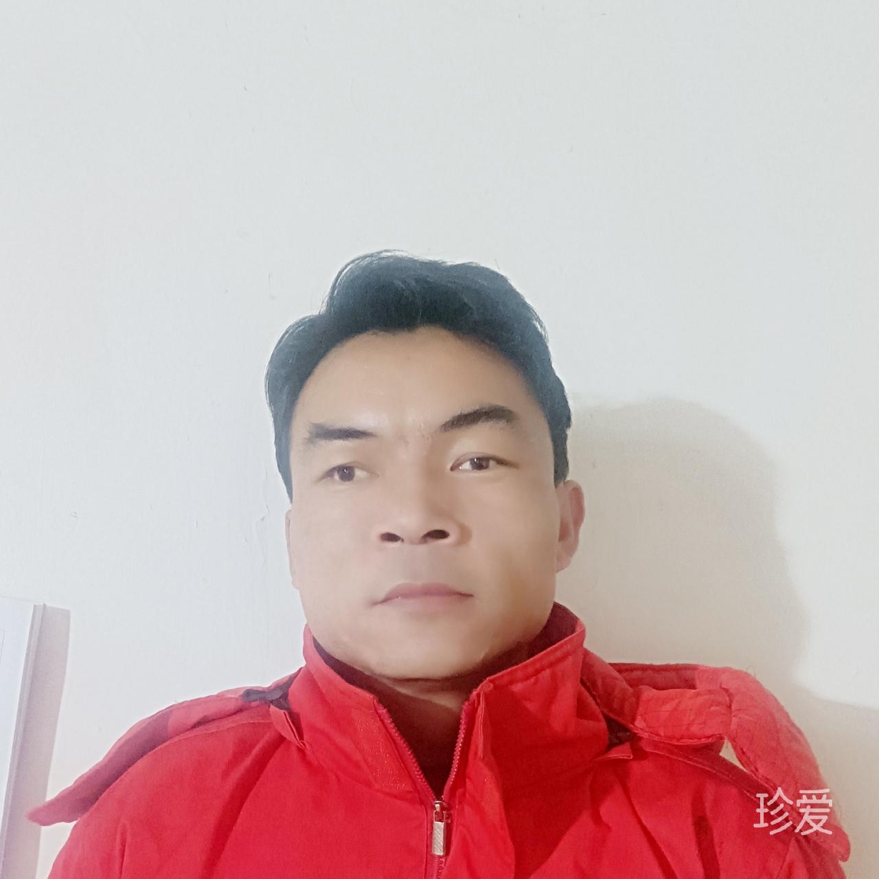 傲雪