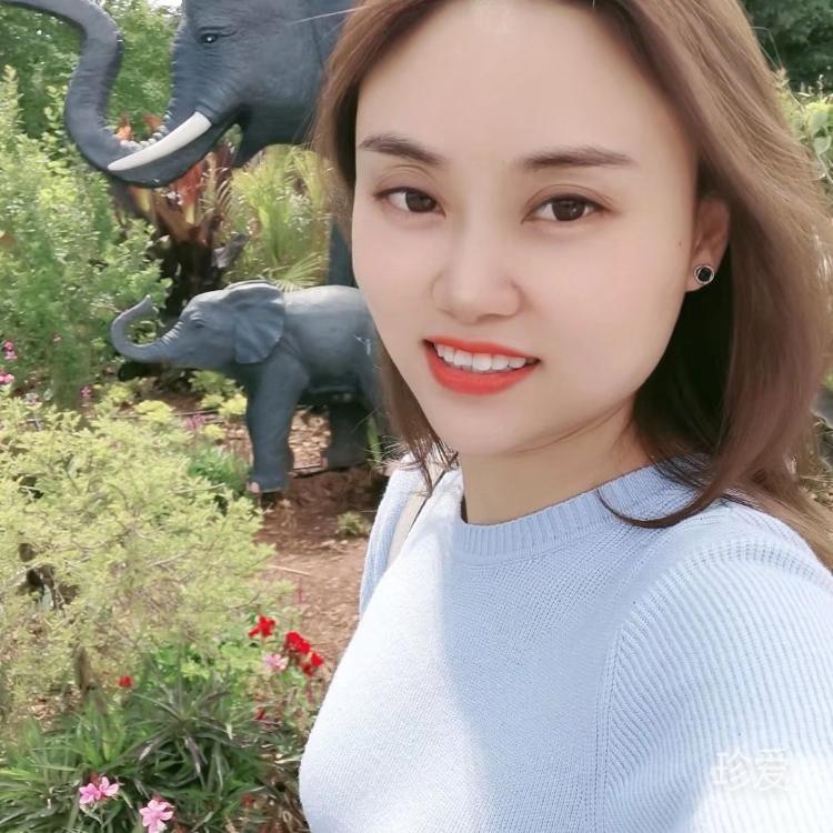 普罗旺斯我的向往