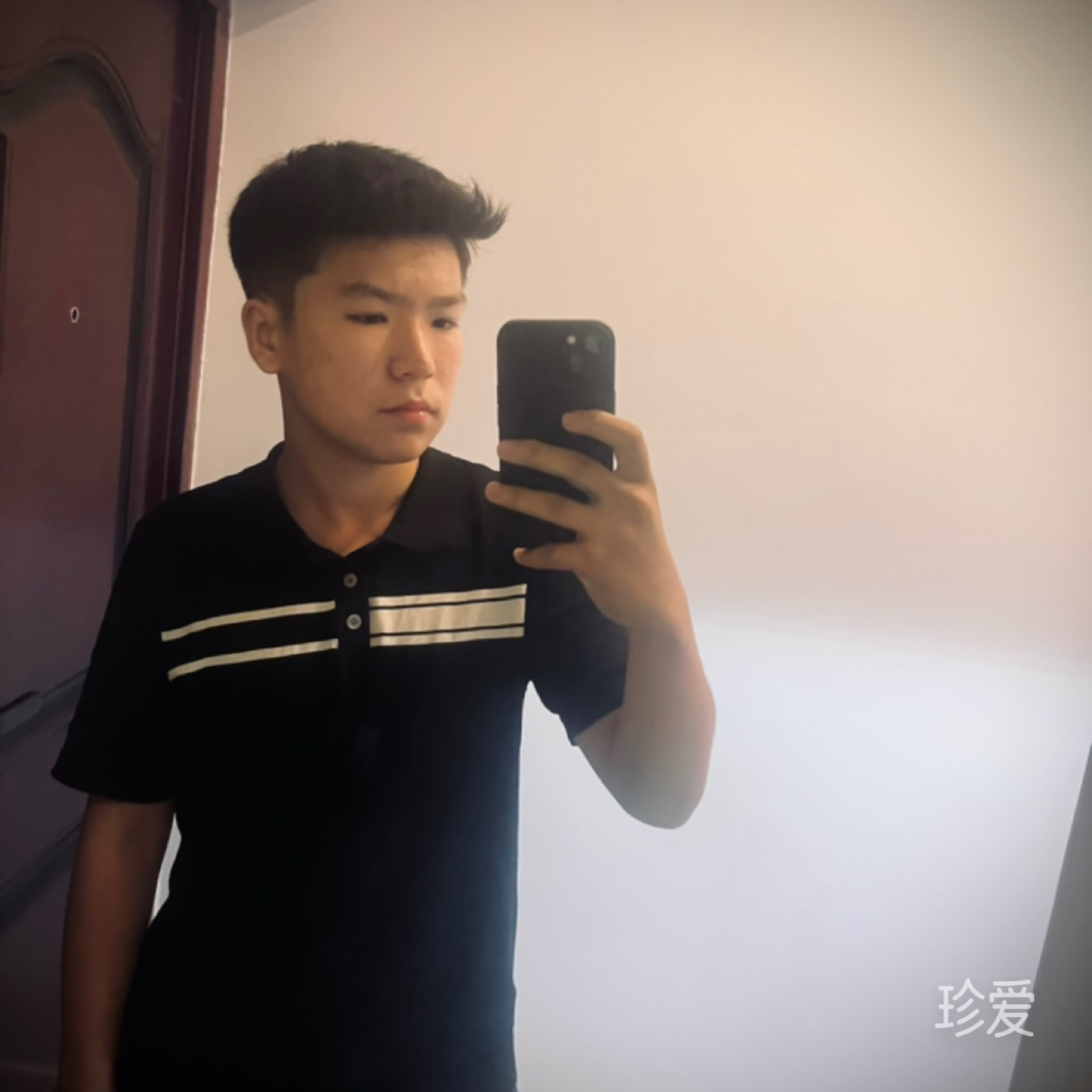 骆驼