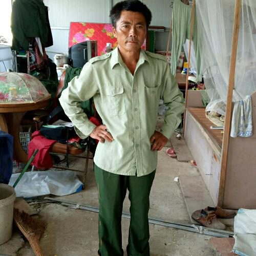 东山再起的养狗