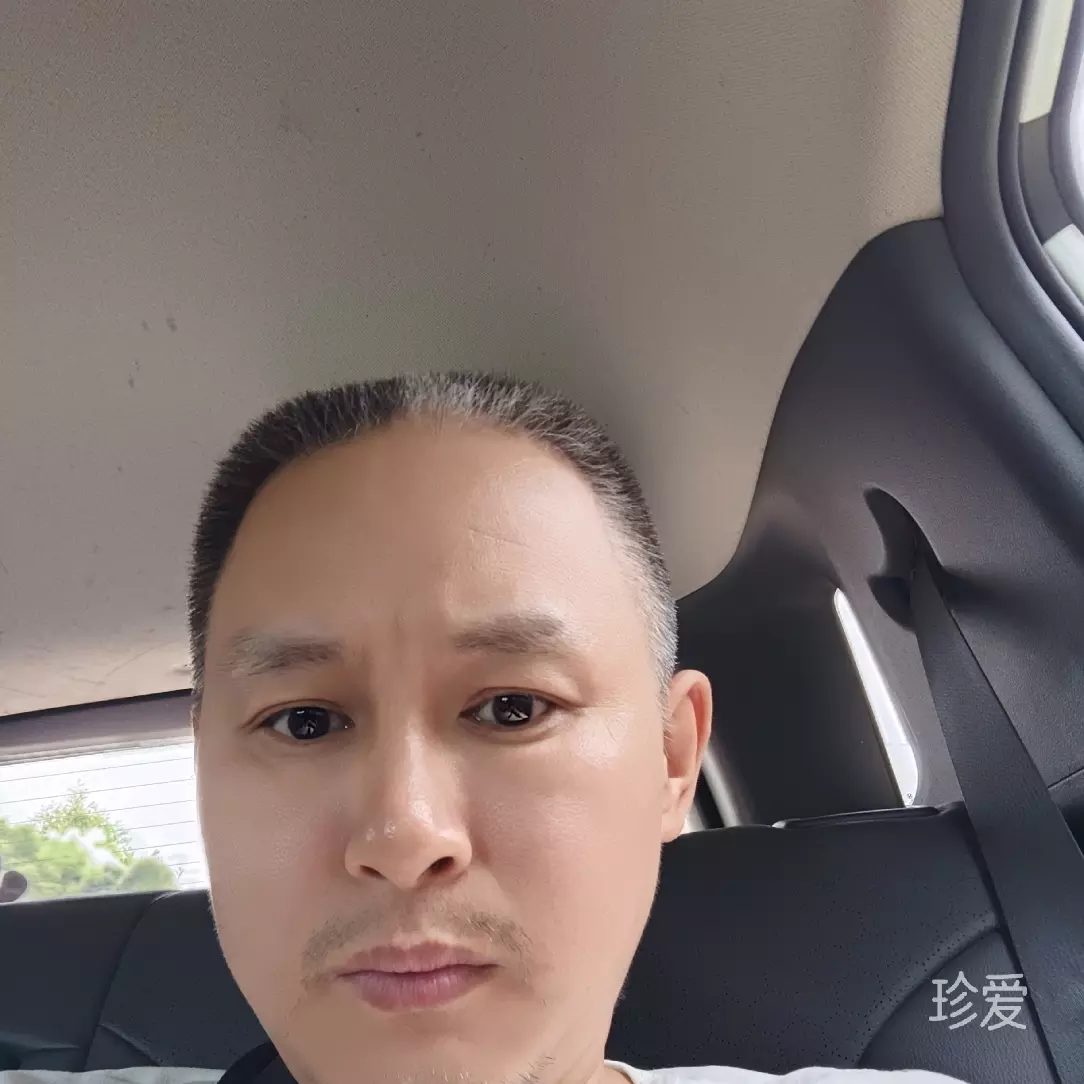 板砖英雄