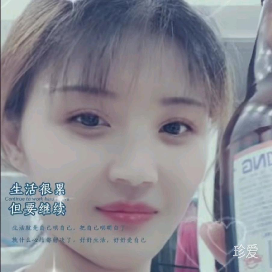 寻禾