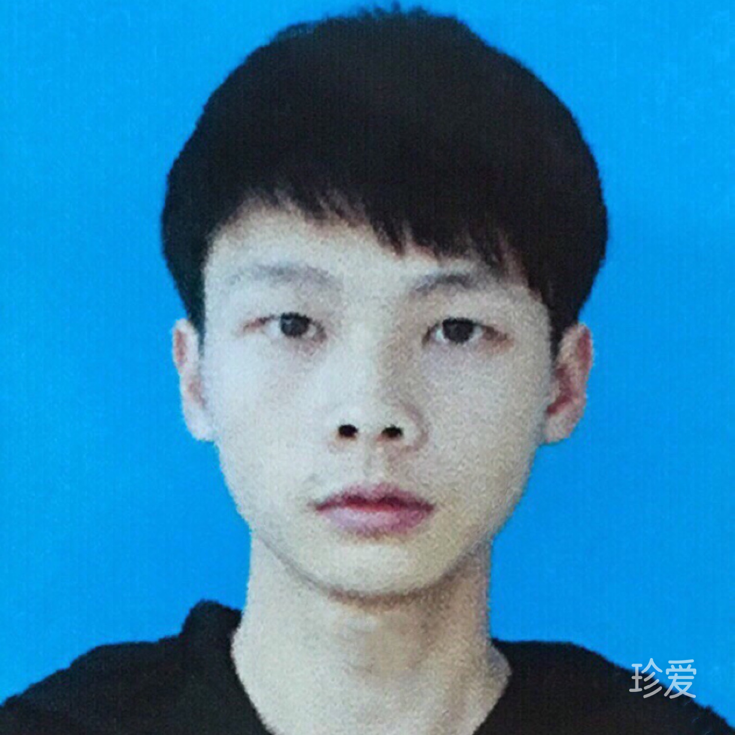 风还影合离