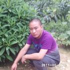 動(dòng)感豬肝