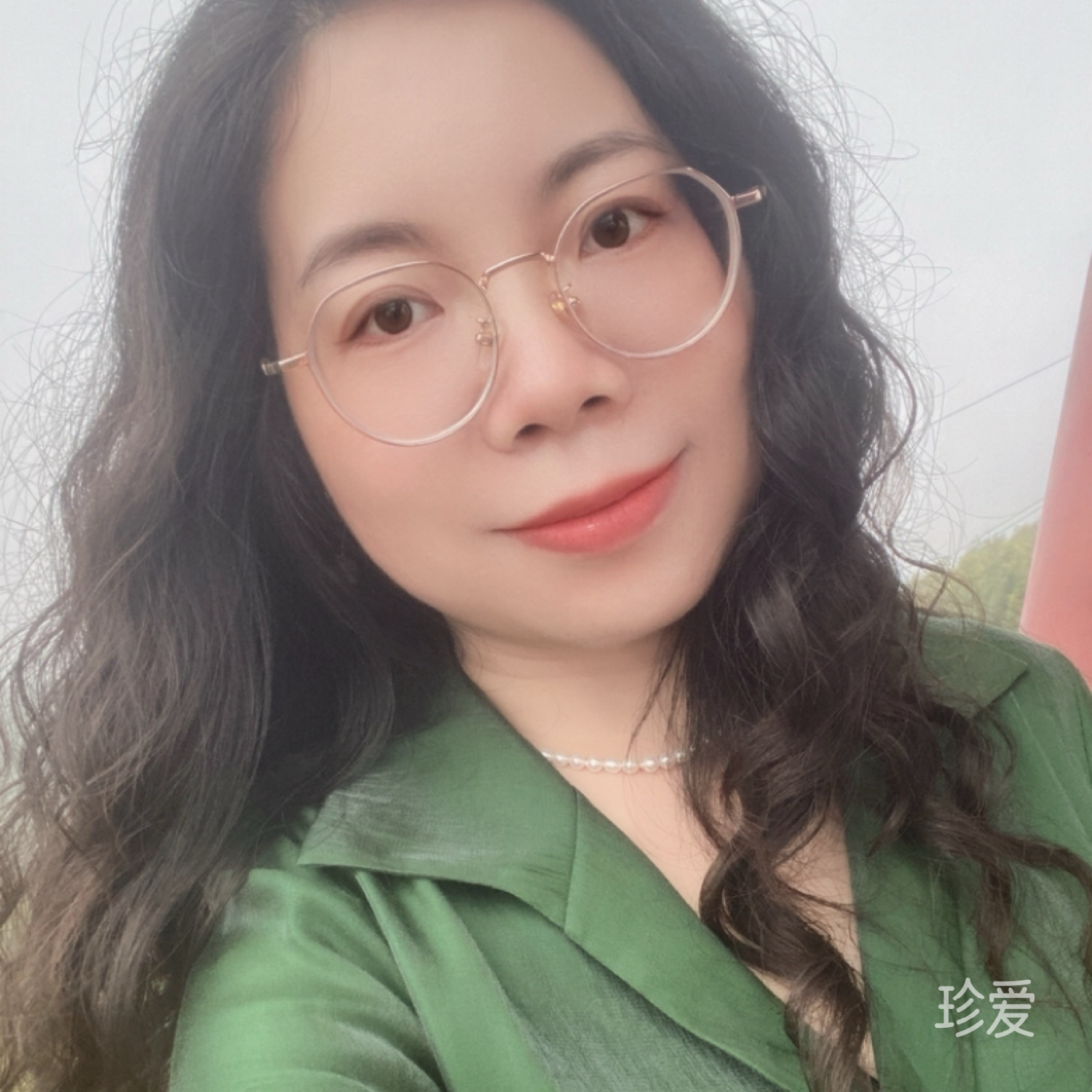 叶子黄了