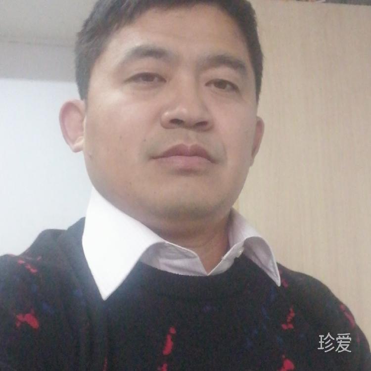 随风而逝