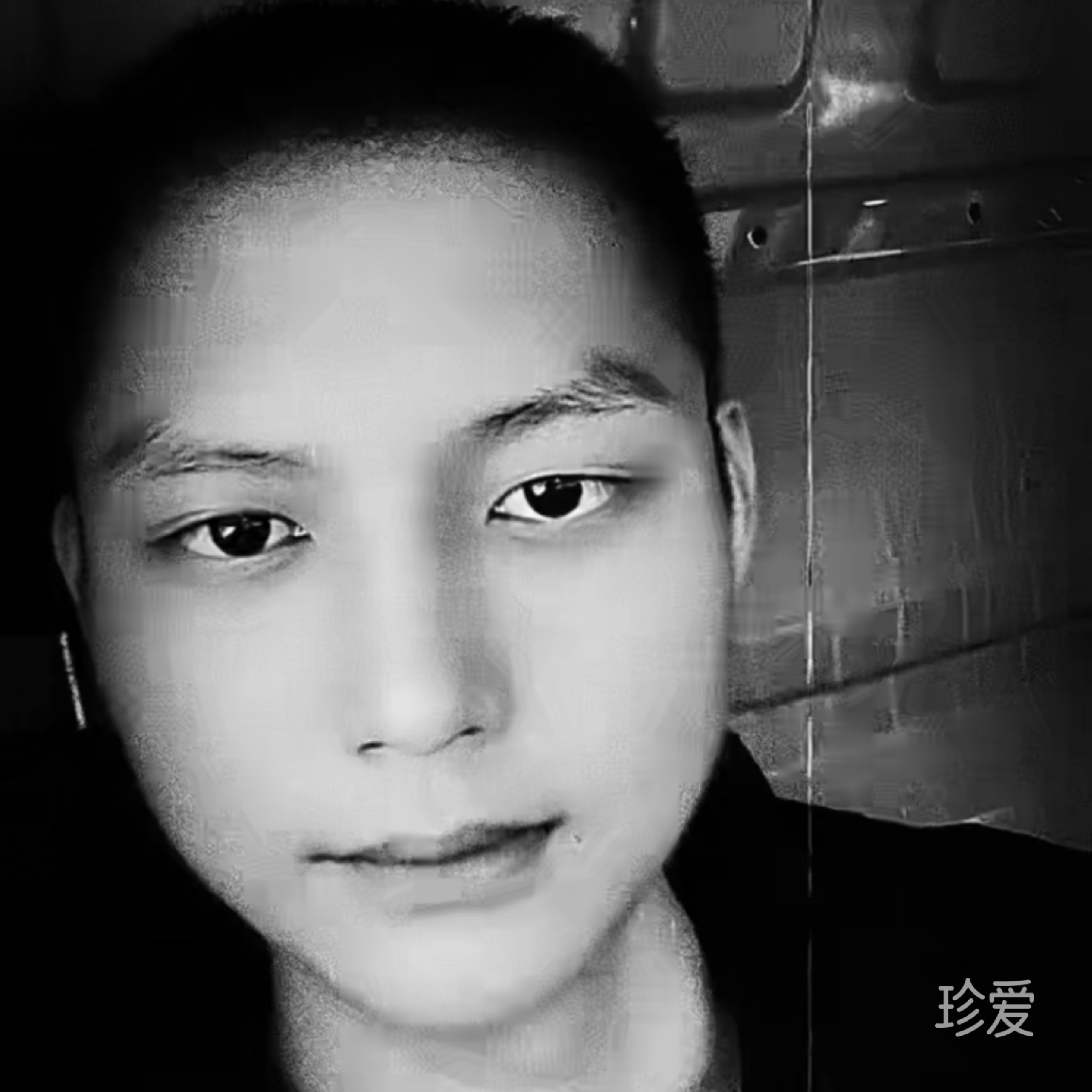 自由或者孤独