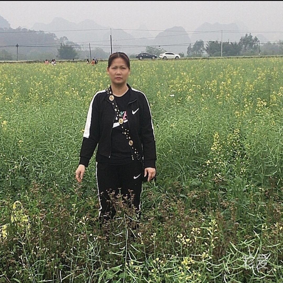 幸福花儿