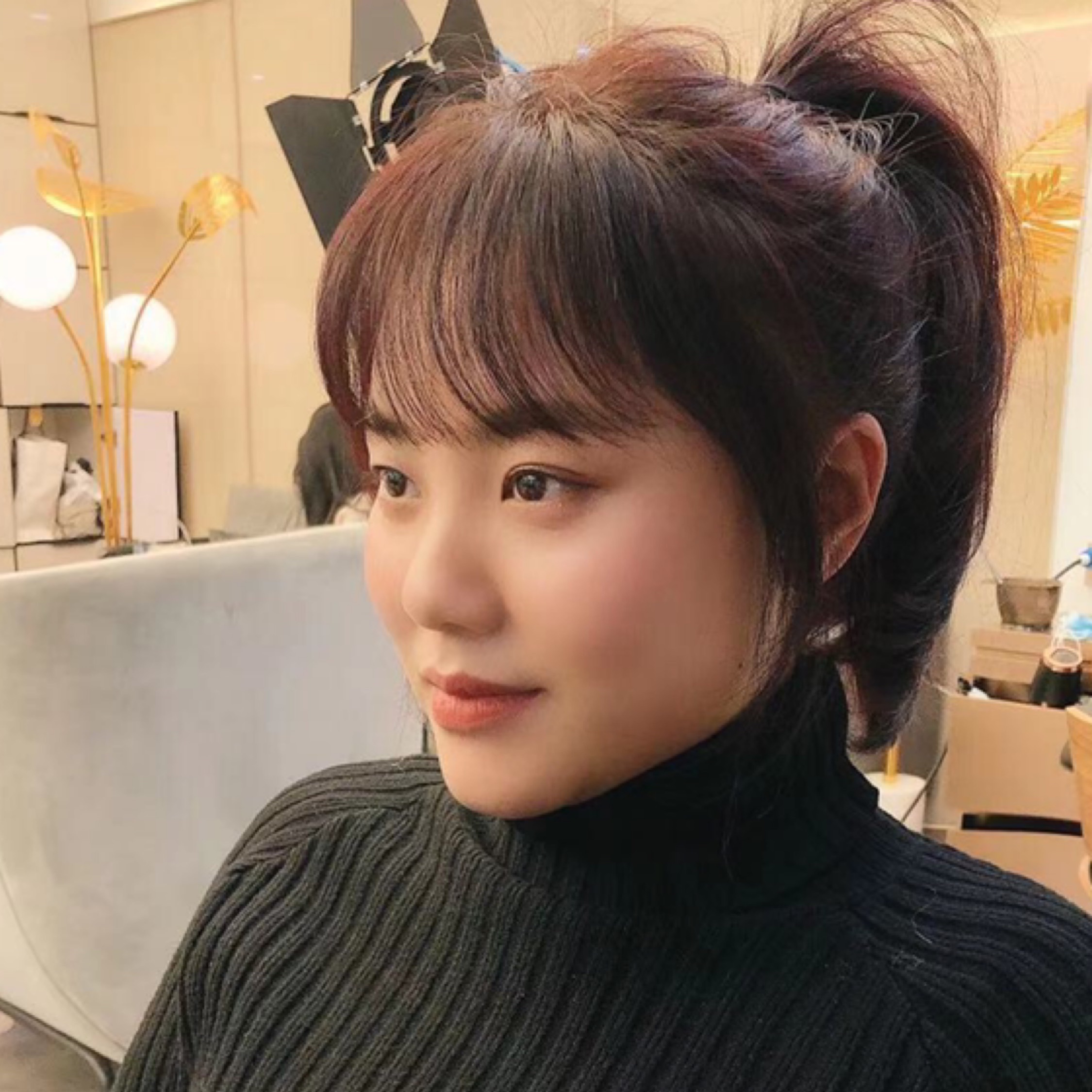 尋找愛(ài)的蒲公英