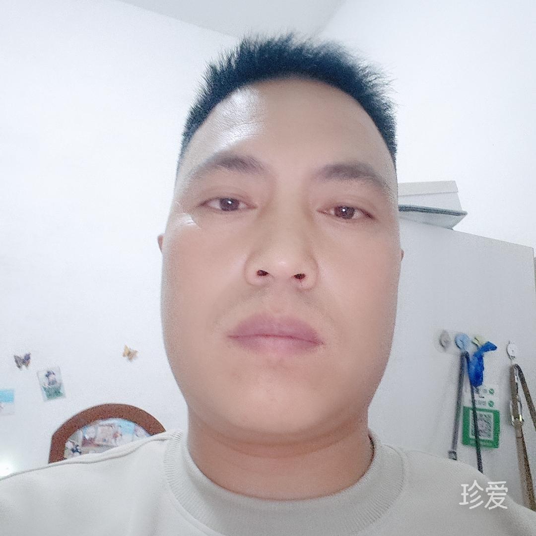 时光里的向日葵