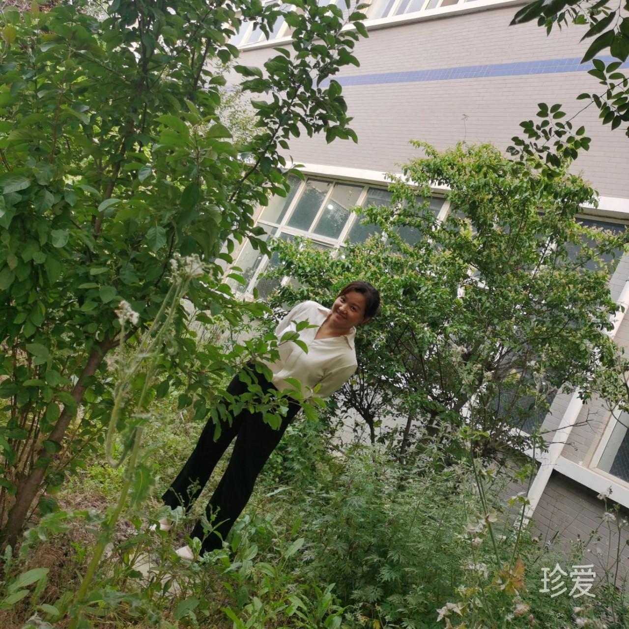 放牛的幺妹