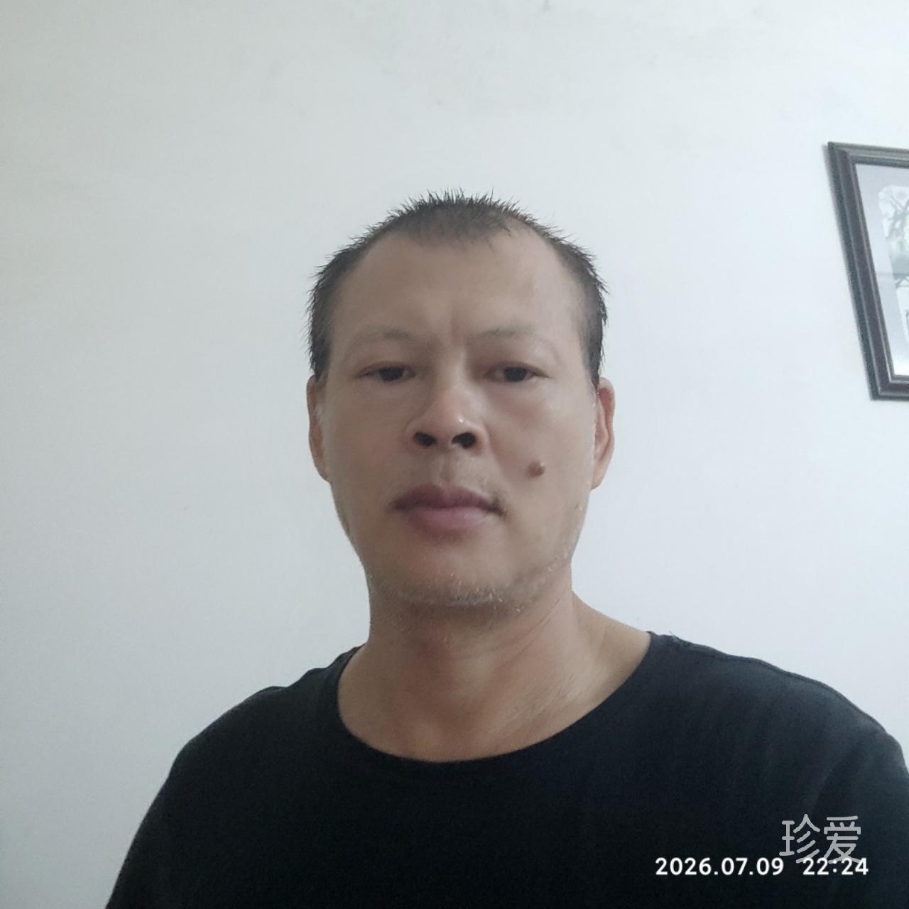 画中仙
