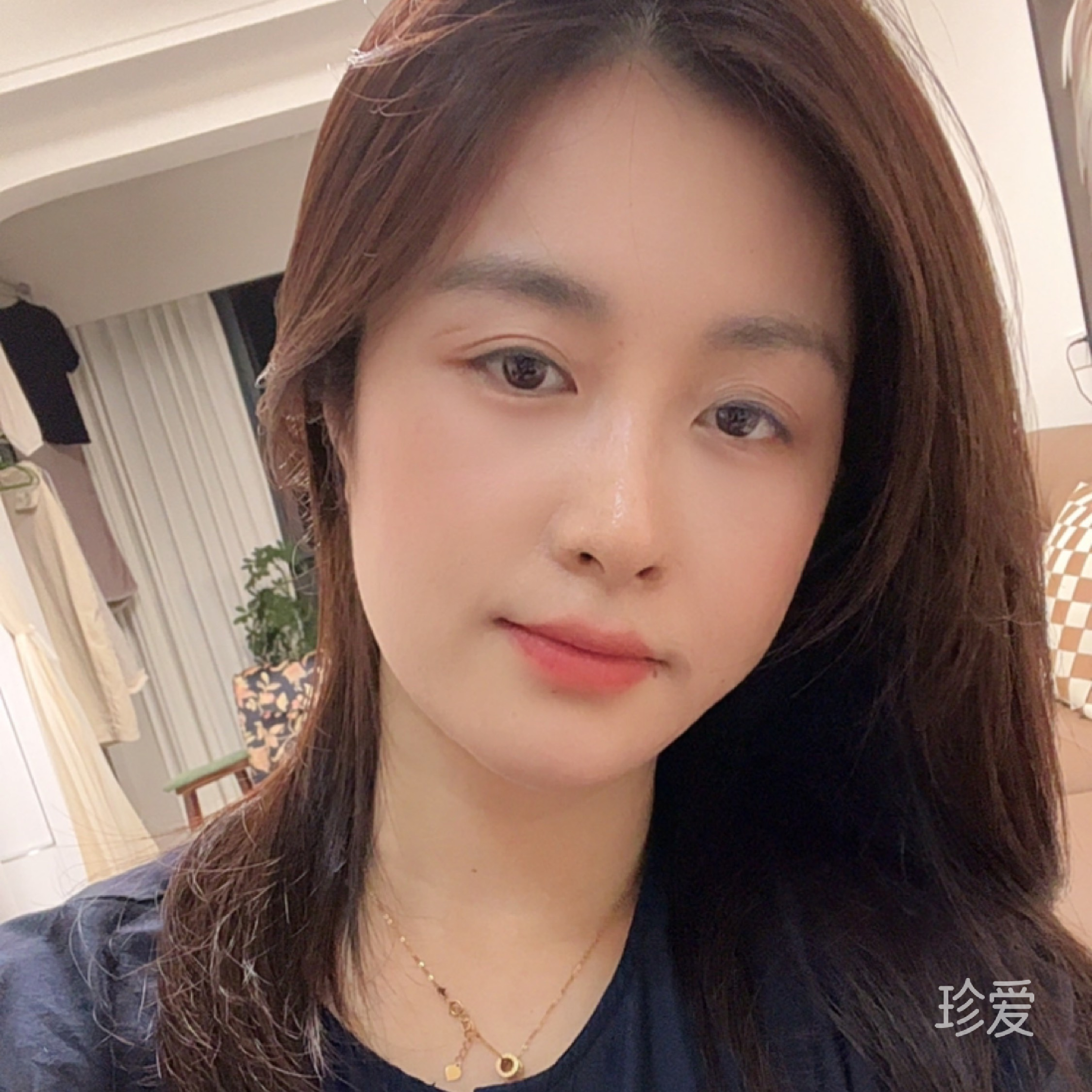 猪猪梦