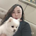 莫小貝