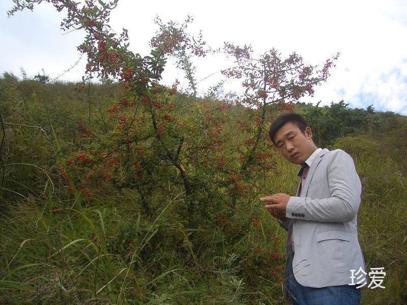 祂丶佷羙君子傲