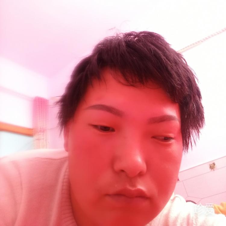 風(fēng)雨中的小草