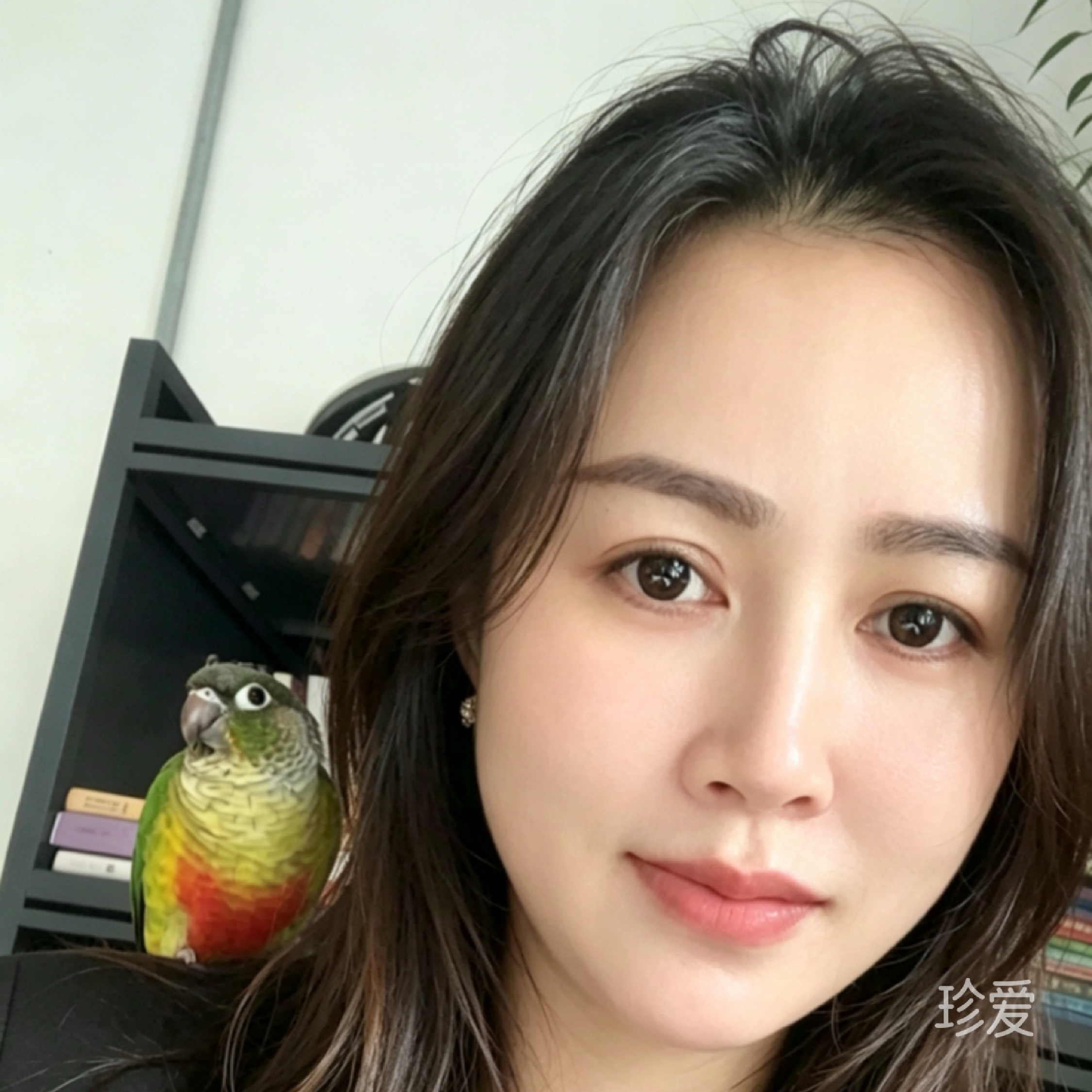 菲扬