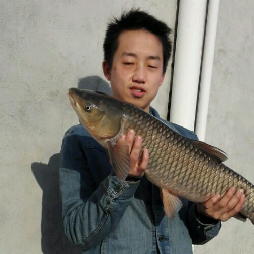 等不見天亮等時(shí)光